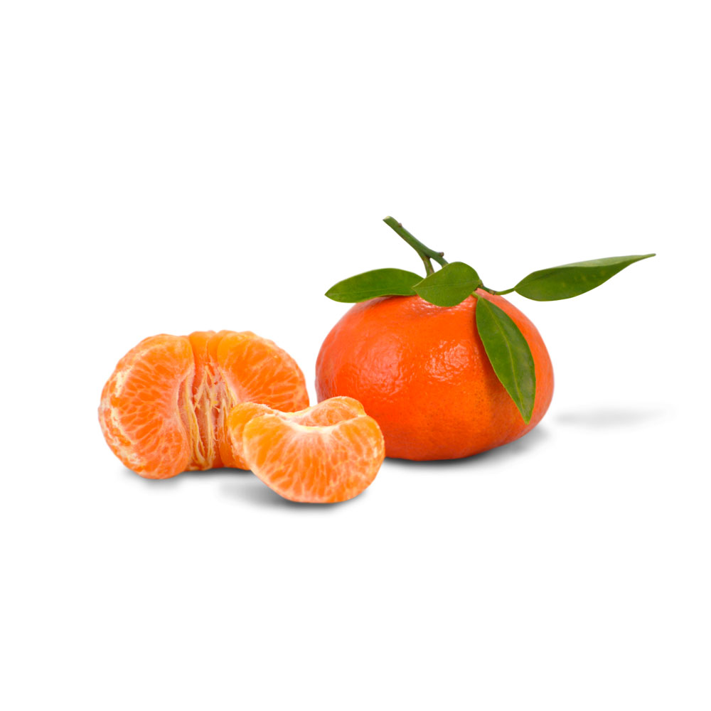Auteri_mandarino_josemite